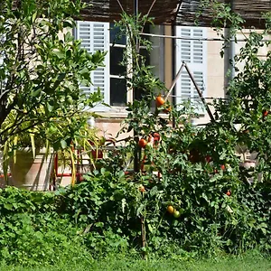 Les Passiflores Frühstückspension